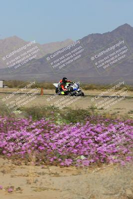 media/Feb-04-2023-SoCal Trackdays (Sat) [[8a776bf2c3]]/Turn 15 Inside Blooming (1050am)/